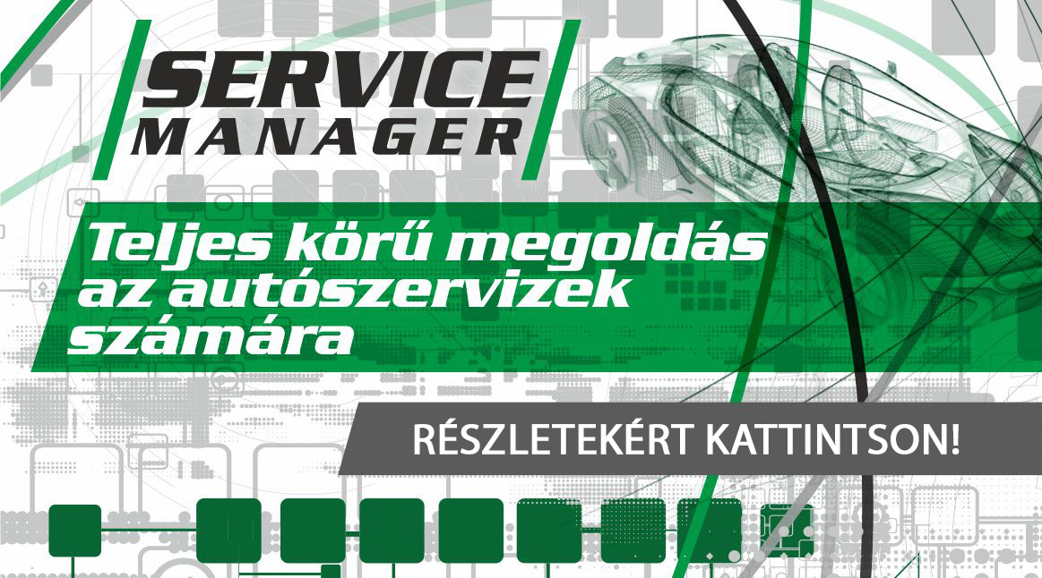 Service Manager mob